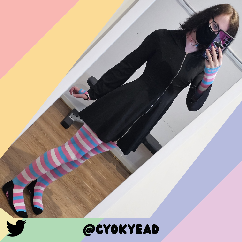 Trans Pride Slim Thigh High Sockies