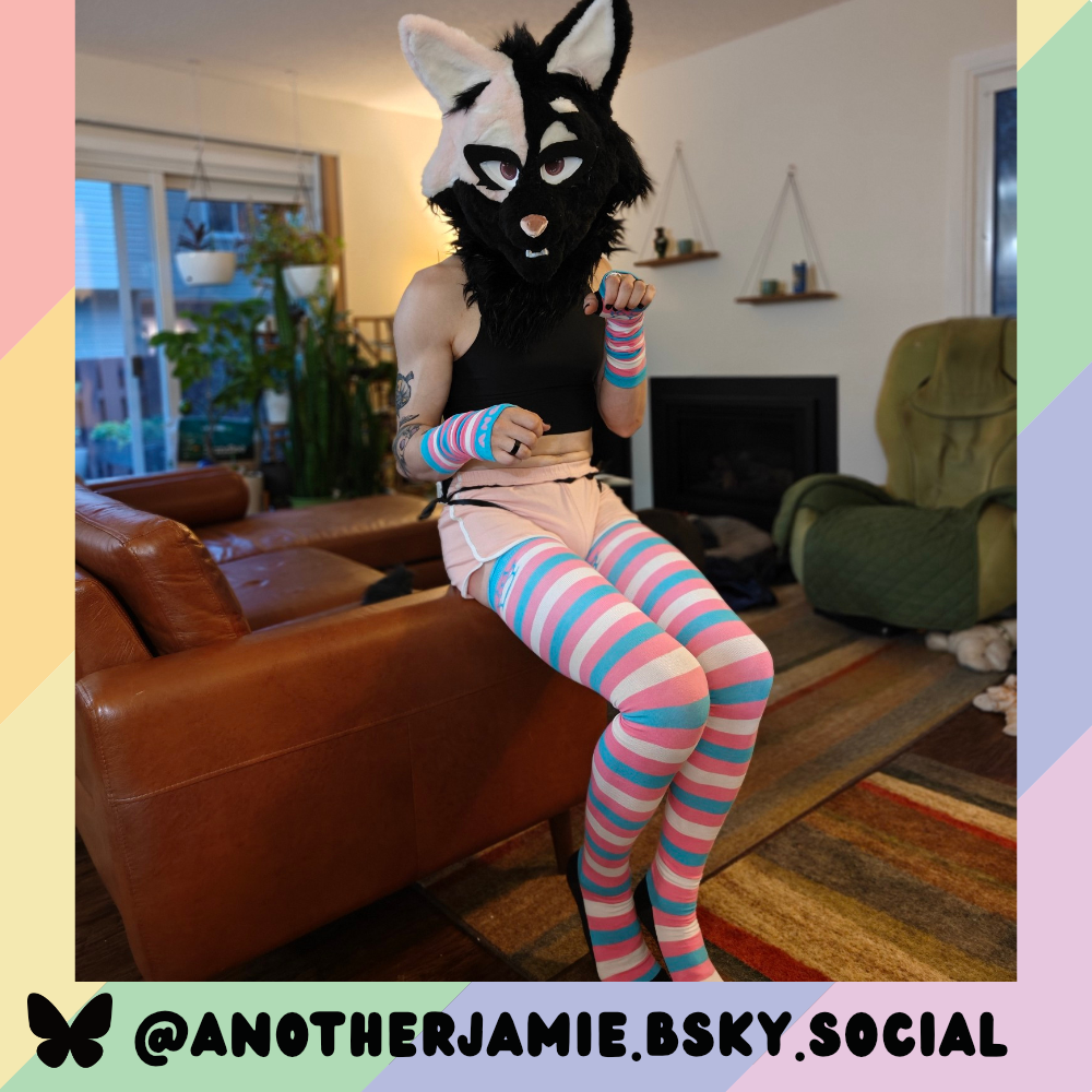 Trans Pride Slim Thigh High Sockies