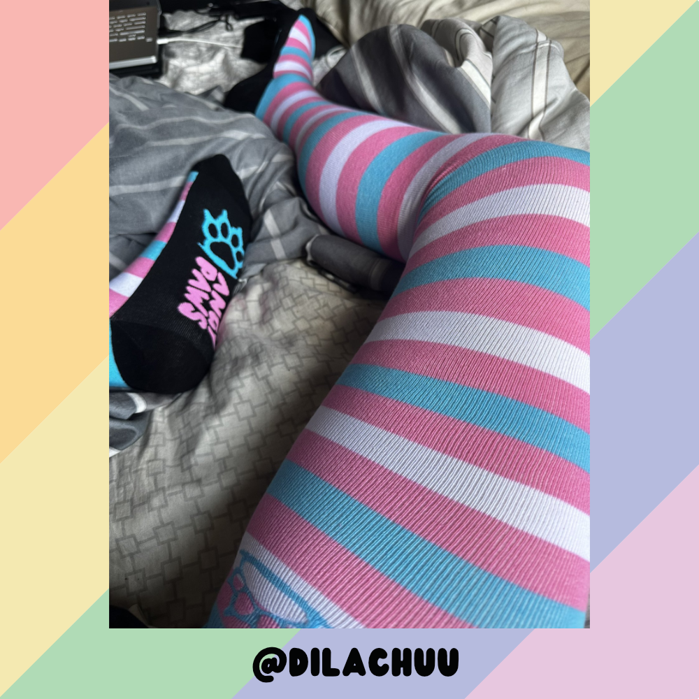 Trans Pride Slim Thigh High Sockies