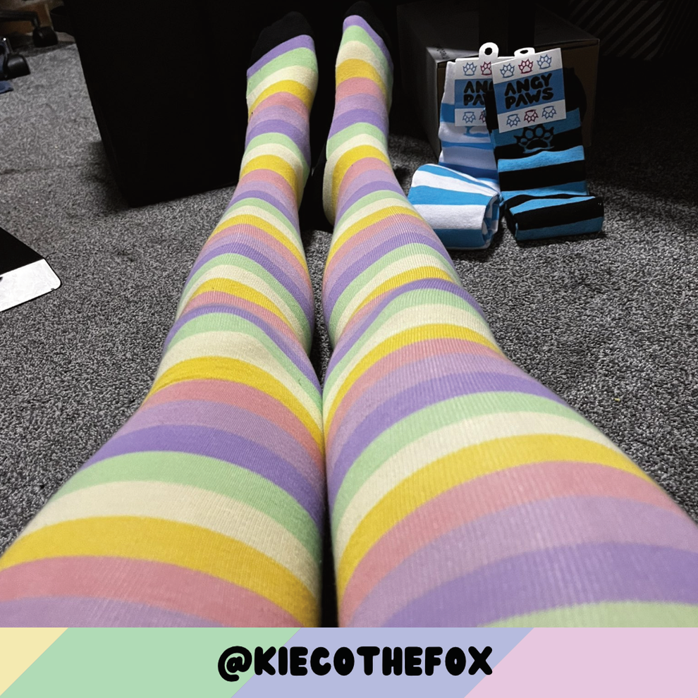 Pastel Rainbow Thigh High Sockies Angy Paws