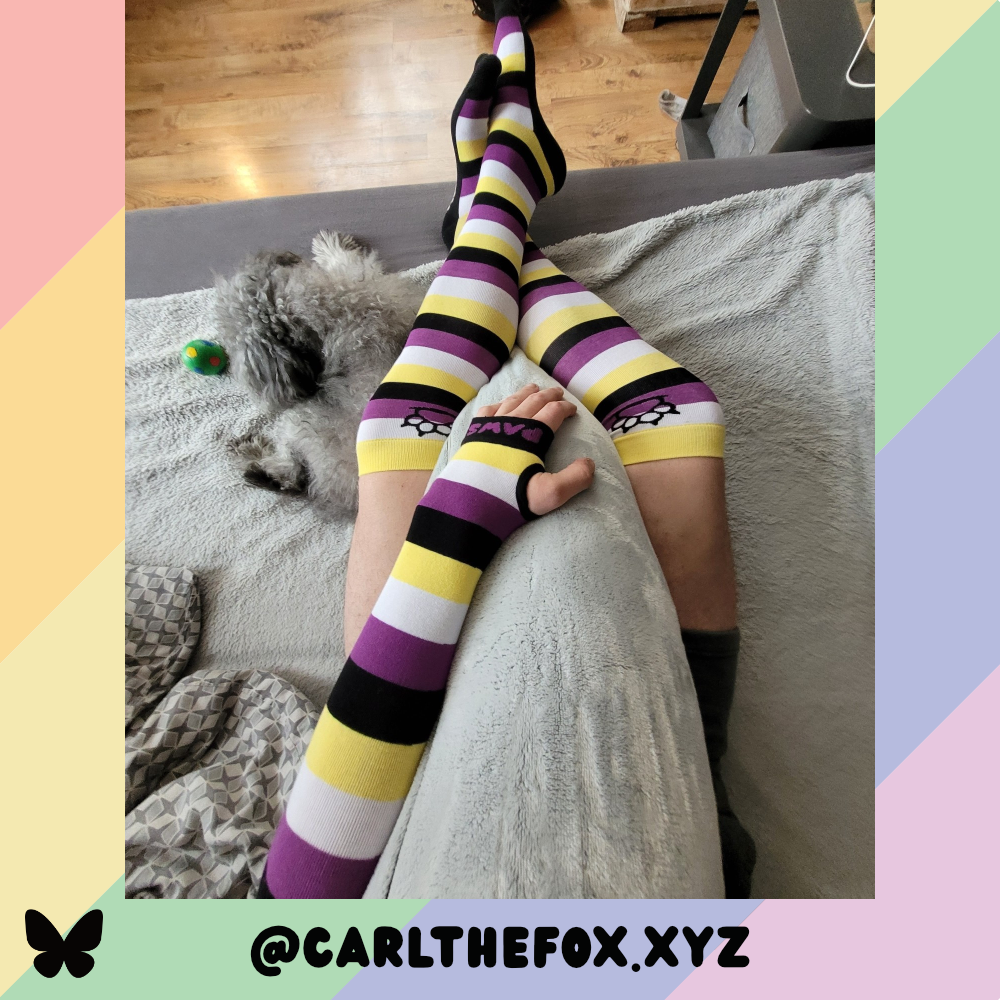 Enby Pride Sockies