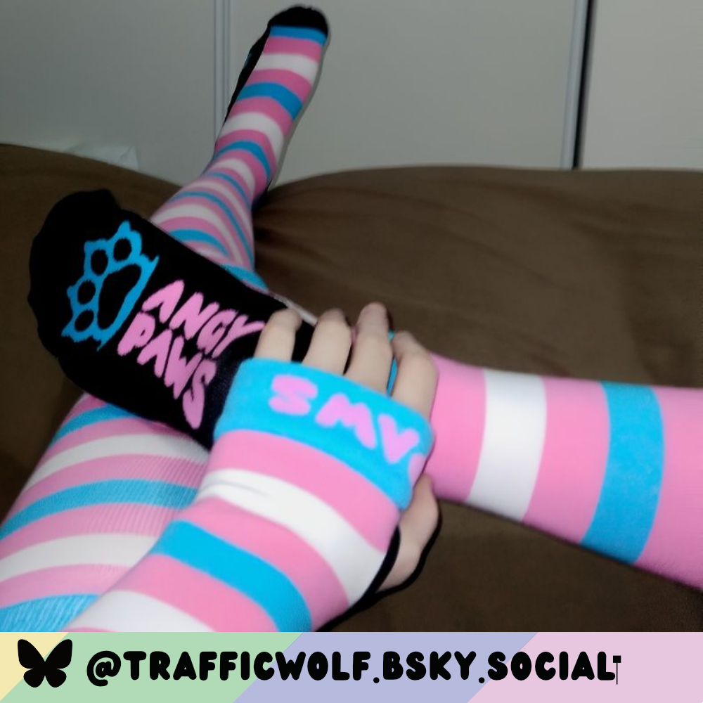 Trans Pride Slim Thigh High Sockies