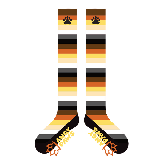 Bear Pride Sockies