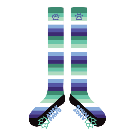 MLM (Gay) Pride Sockies