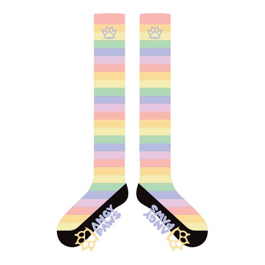 Pastel Rainbow Sockies